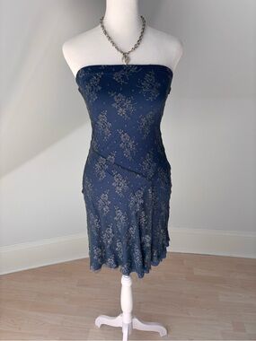 Le Château Lace Mesh Dress 💙